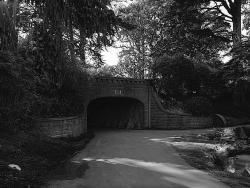 Alvord Lake Bridge