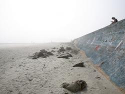 Galveston Seawall and Grade Raising